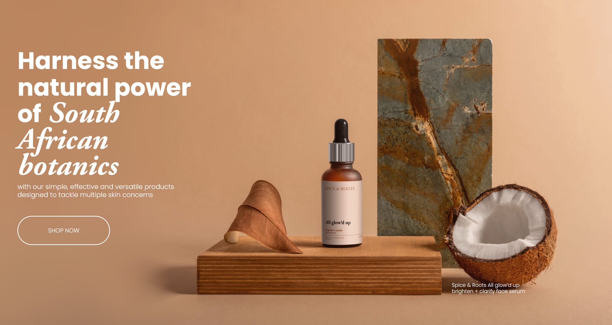 Spice and Roots e-commerce site hero
